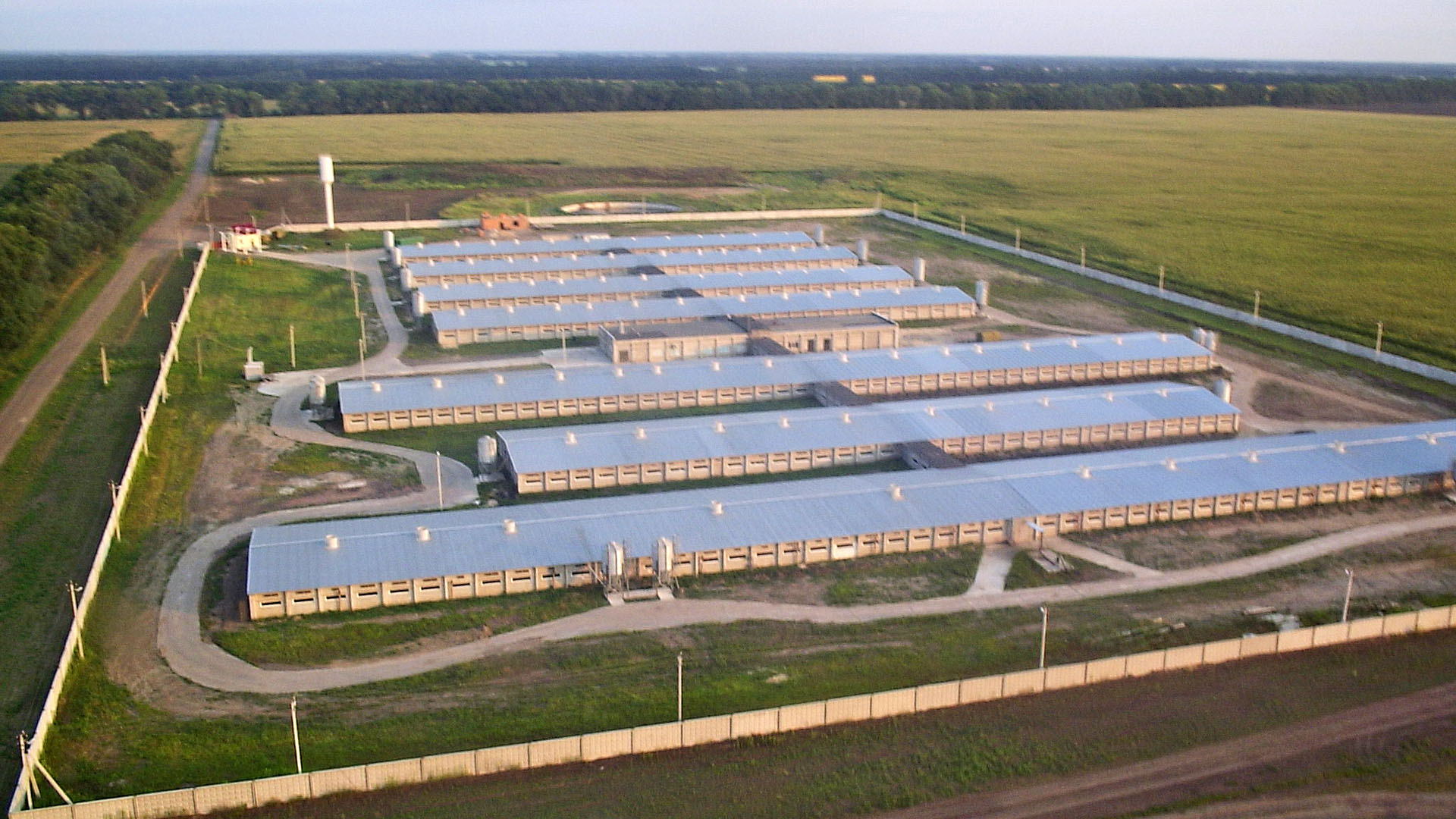 SKIOLD Pig Farm Project in Ukraine