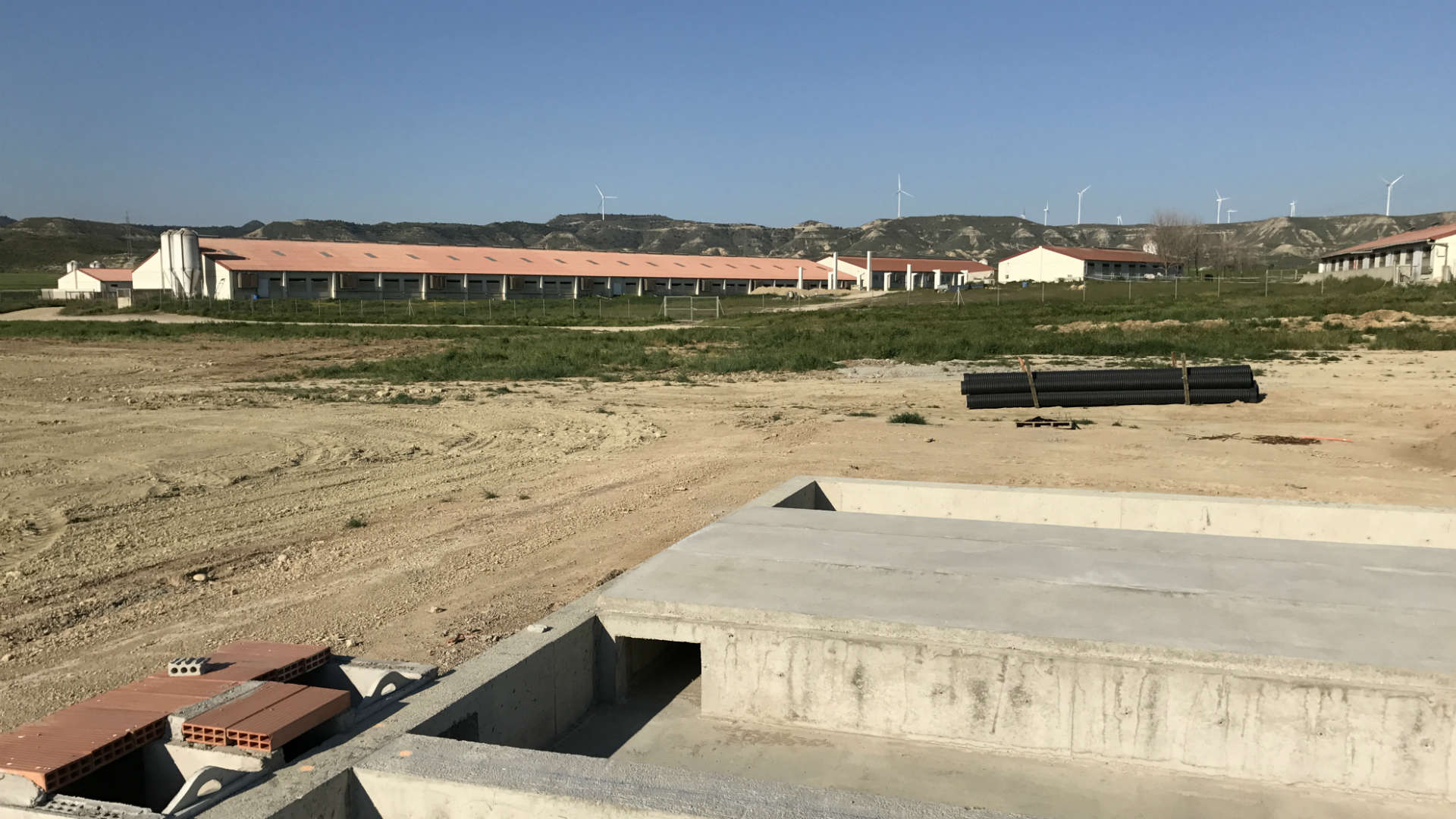 SKIOLD Pig farm project with Electronic Sow Feeding (ESF)