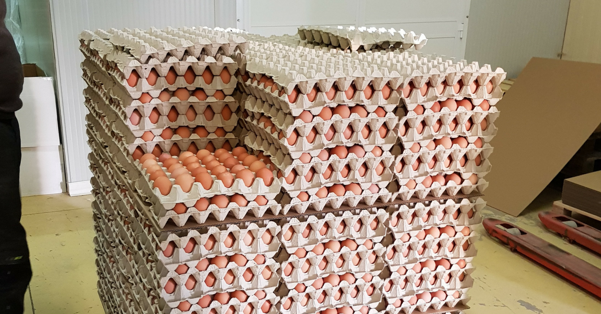 SKIOLD Feed mill for poultry, France