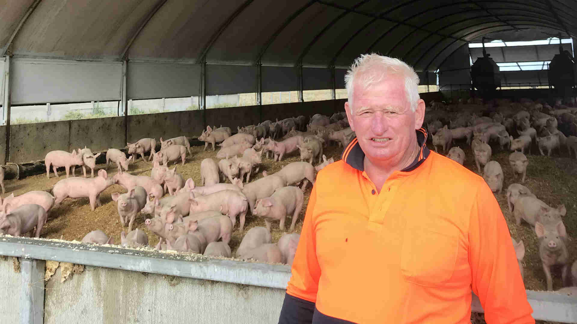 SKIOLD Feed mill for pig feed in AU