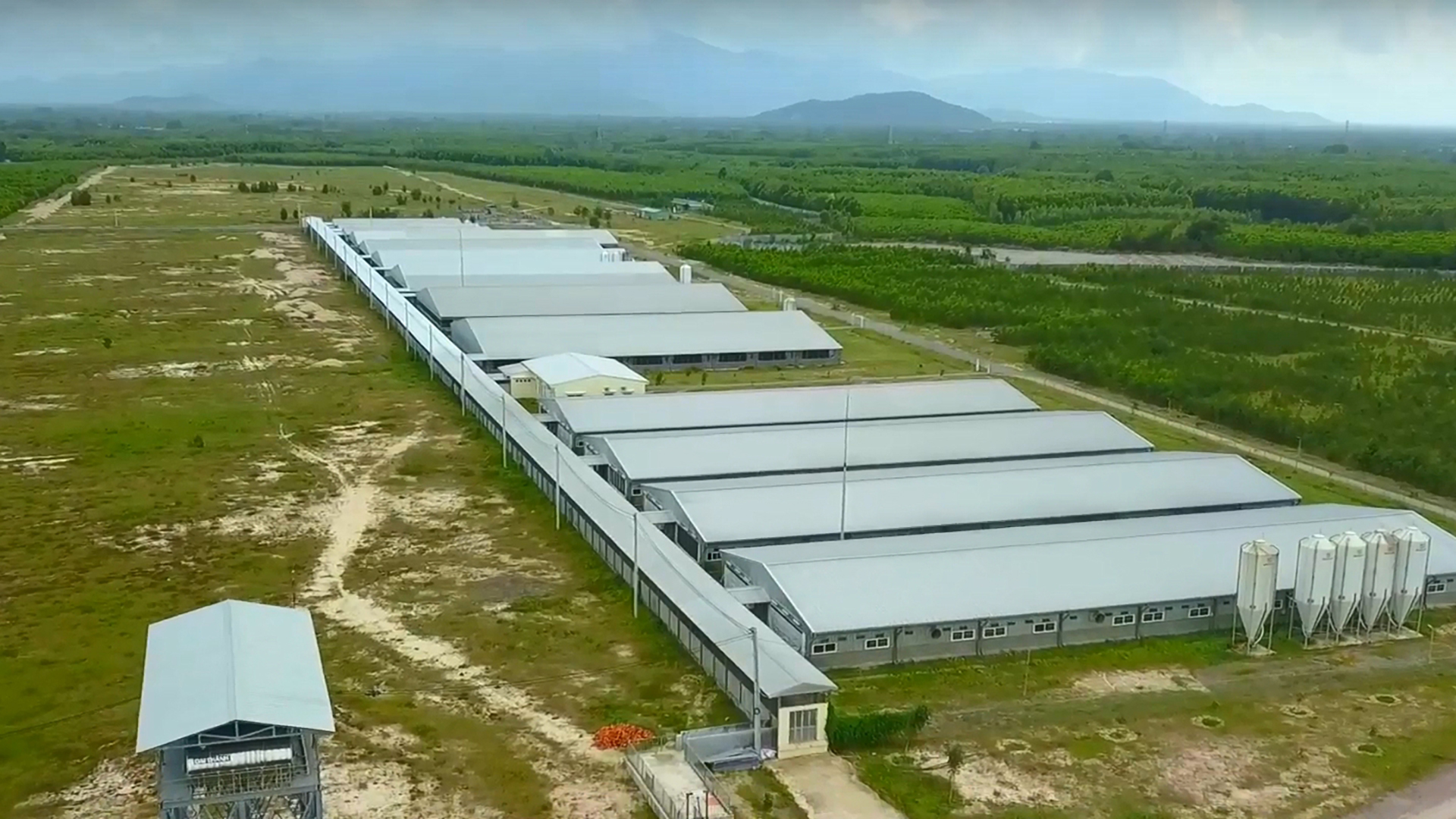 SKIOLD Pig Farm Project, Binh Dinh, Vietnam